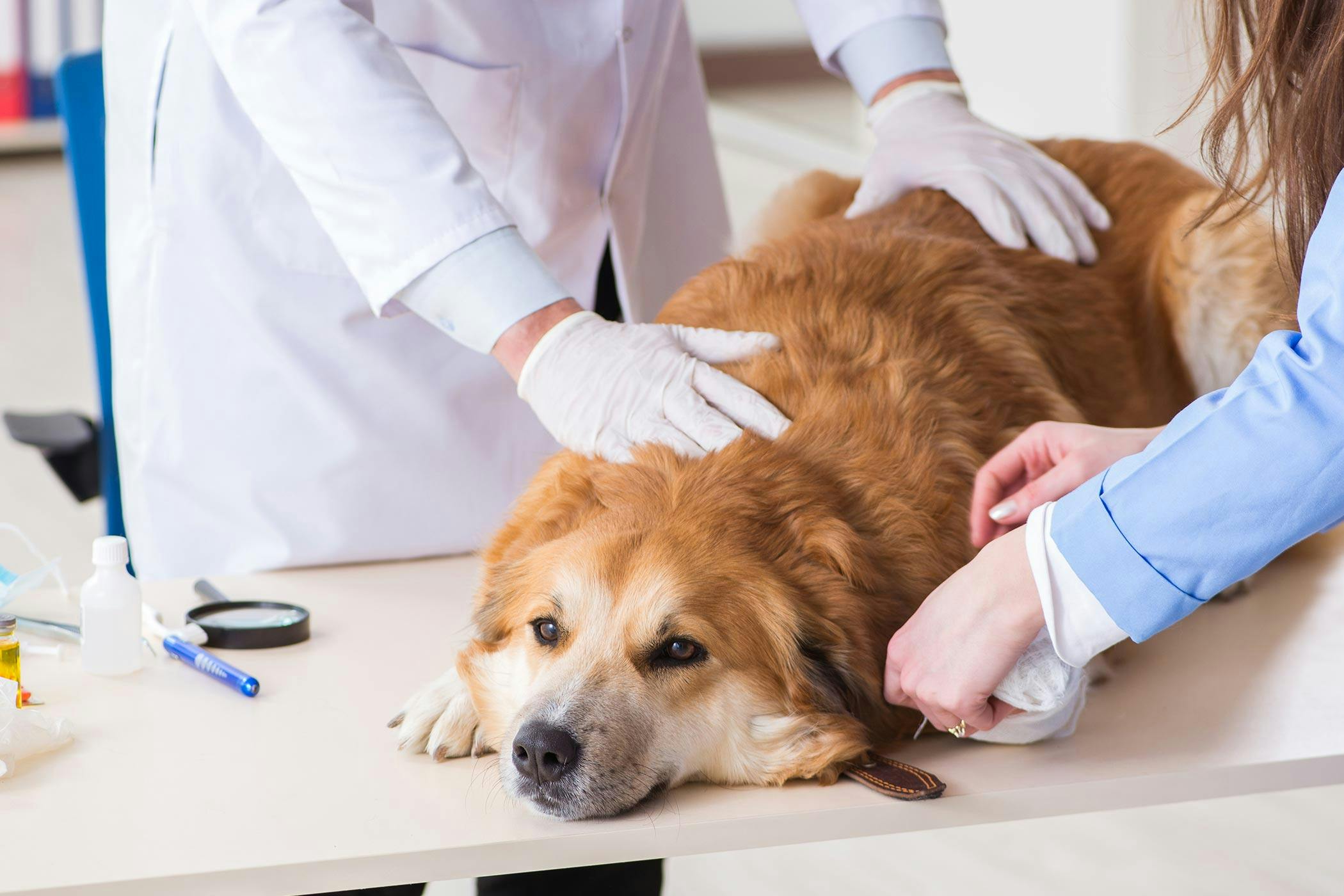 Preventative Health Care
